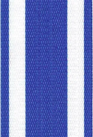 Blue and White Stripe