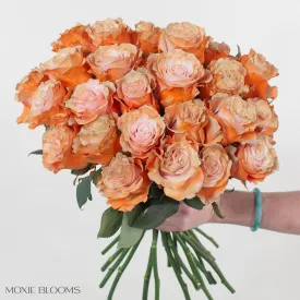 Creamsicle Novelty Roses