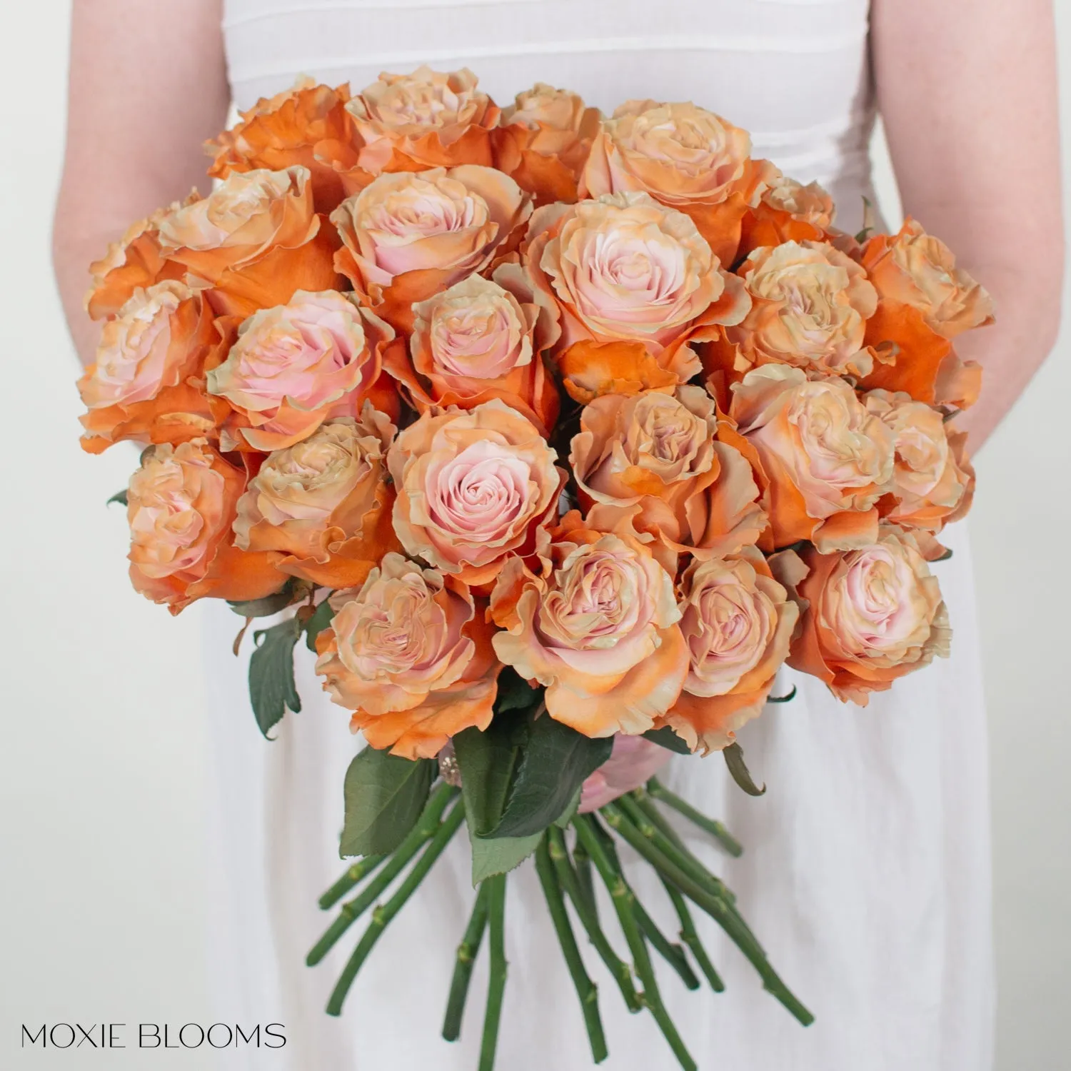 Creamsicle Novelty Roses