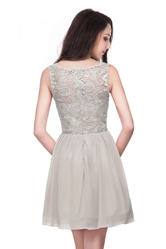 Elegant Sleeveless Chiffon Short Homecoming Dress Round Neck Floral Lace Mini Party Dress