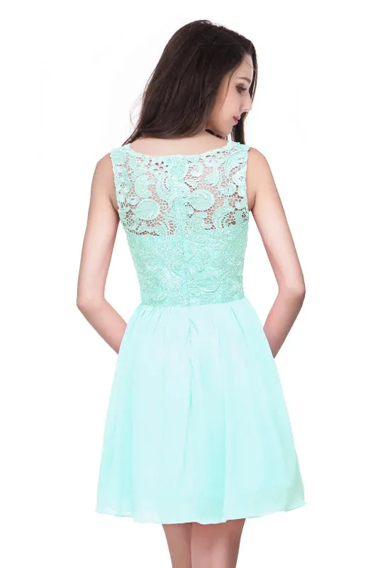 Elegant Sleeveless Chiffon Short Homecoming Dress Round Neck Floral Lace Mini Party Dress