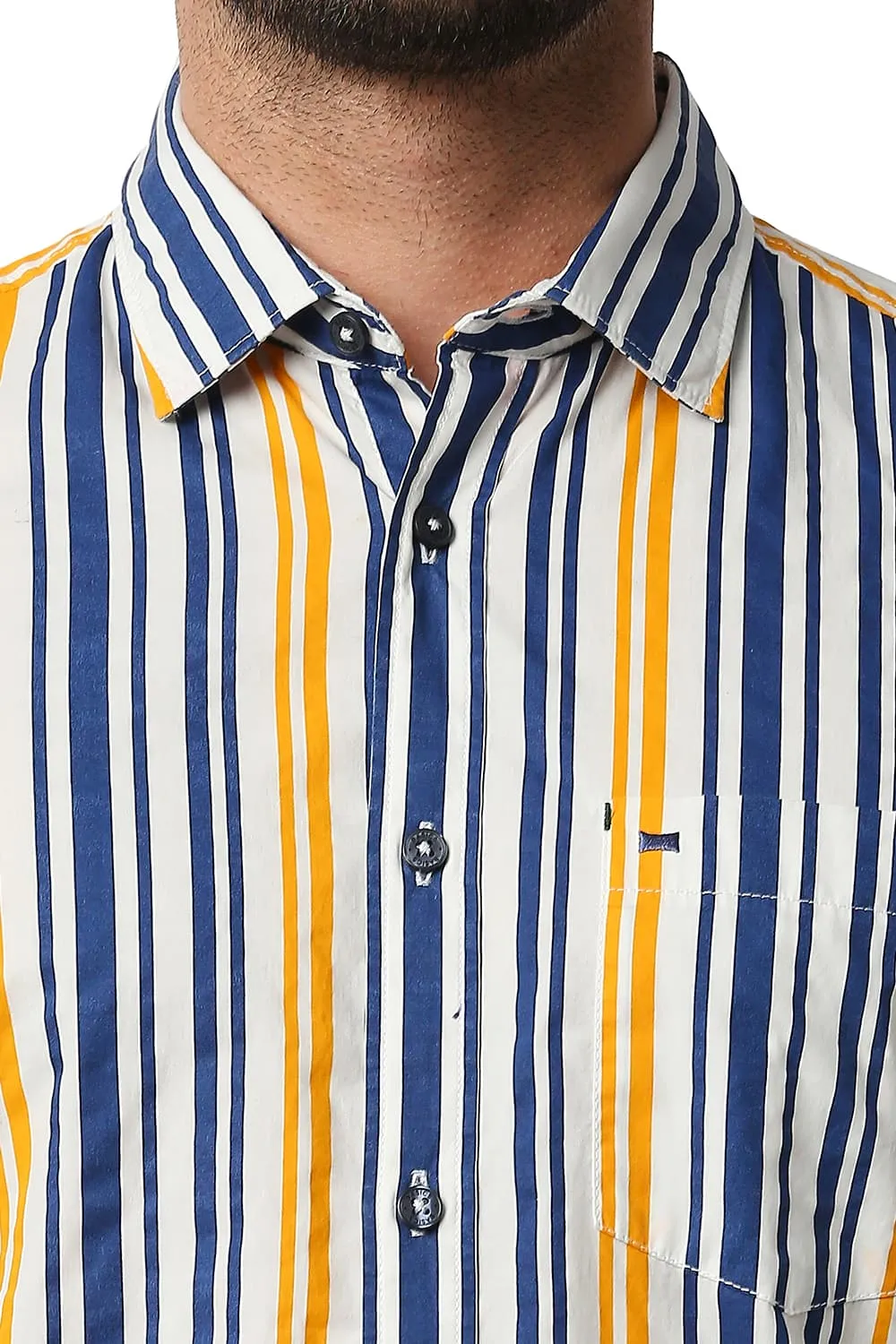 Slim Fit Poplin Print Stripe Shirt